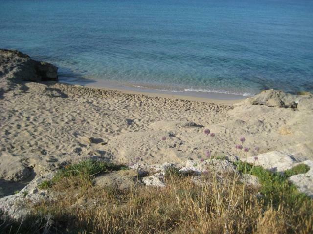 Attico A 150 Mt Dal Mare Villa Marina di Mancaversa Luaran gambar